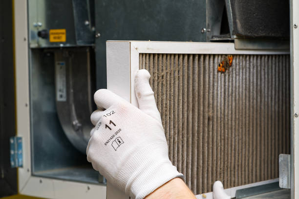 Best Home Air Vent Cleaning  in Warrensville Heights, OH