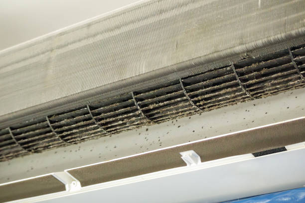 Best Ventilation Cleaning Services  in Warrensville Heights, OH