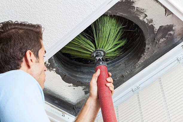 Best Affordable Duct Cleaning Services  in Warrensville Heights, OH